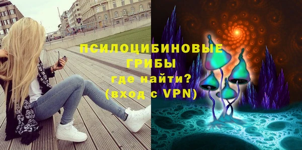 ECSTASY Туринск