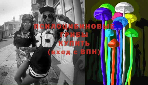 ECSTASY Туринск