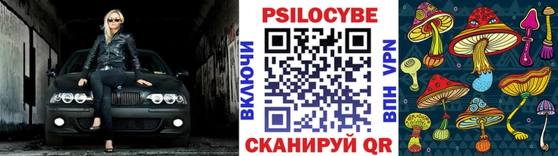 Псилоцибиновые грибы Cubensis  что такое наркотик  Якутск 