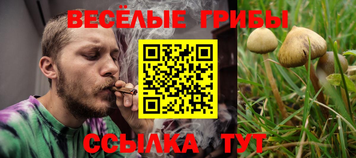 Галлюциногенные грибы MAGIC MUSHROOMS Якутск